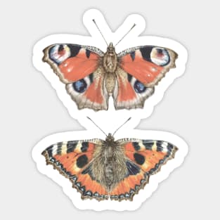 Butterflies Sticker